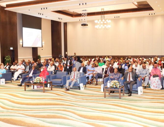 Forum National sur le Développement Intégré du Secteur des Transports à Djibouti